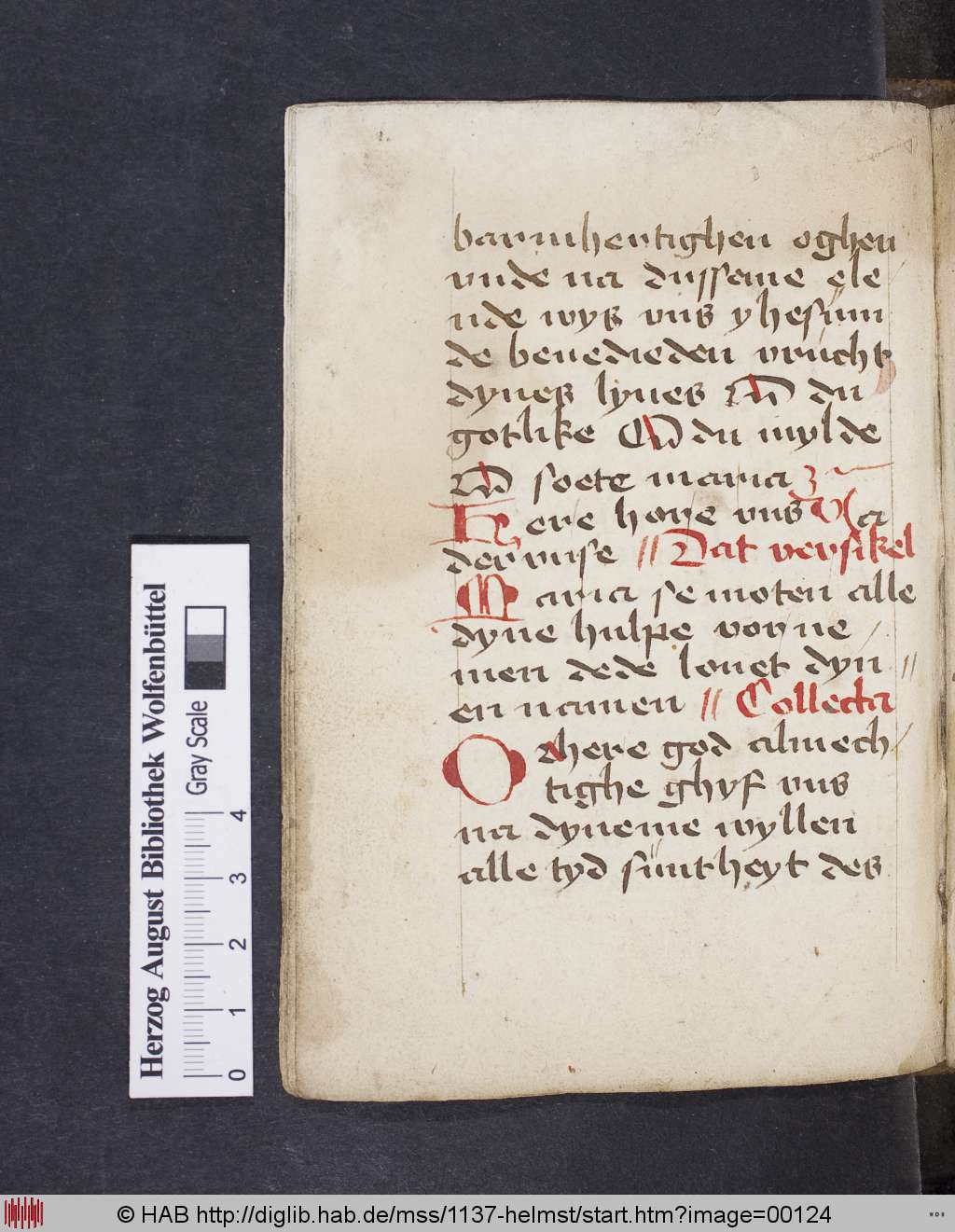 http://diglib.hab.de/mss/1137-helmst/00124.jpg