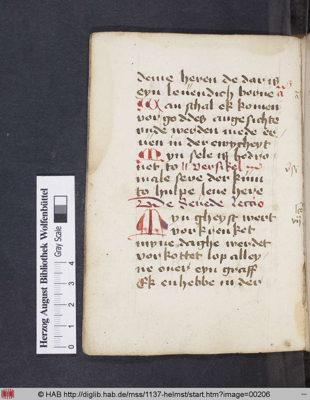 http://diglib.hab.de/mss/1137-helmst/00206.jpg