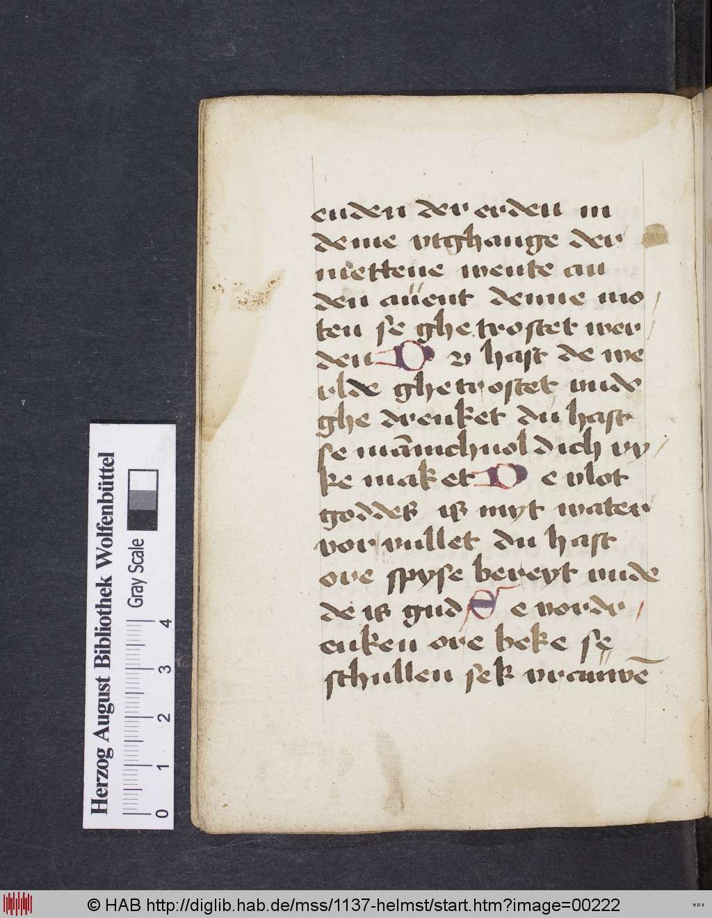http://diglib.hab.de/mss/1137-helmst/00222.jpg