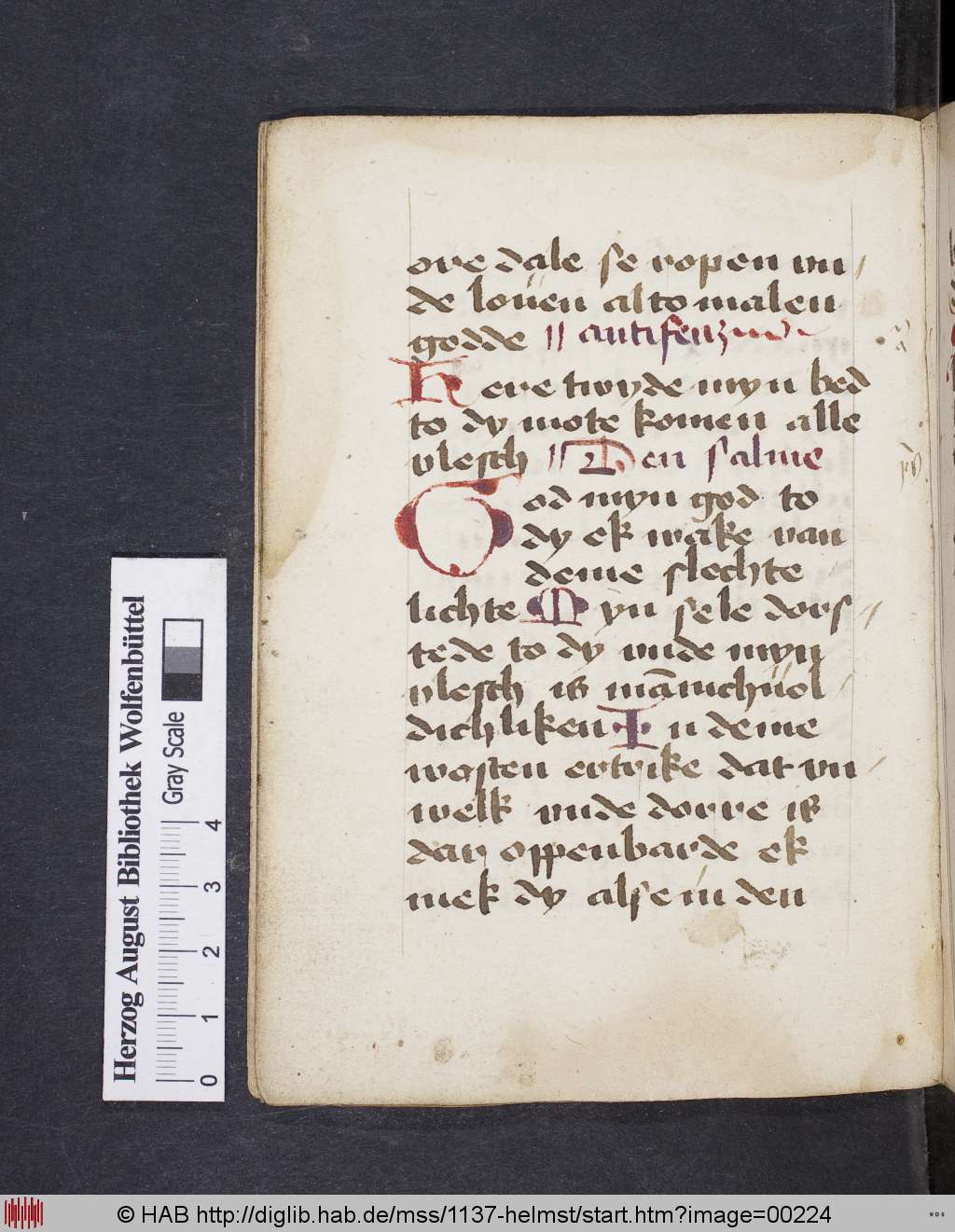 http://diglib.hab.de/mss/1137-helmst/00224.jpg