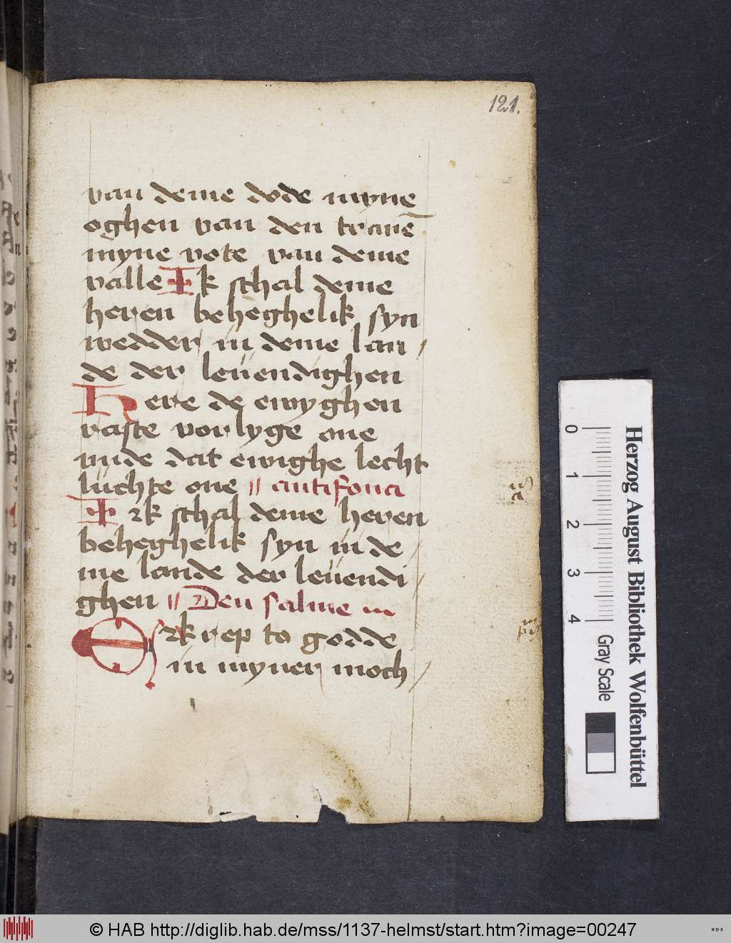 http://diglib.hab.de/mss/1137-helmst/00247.jpg