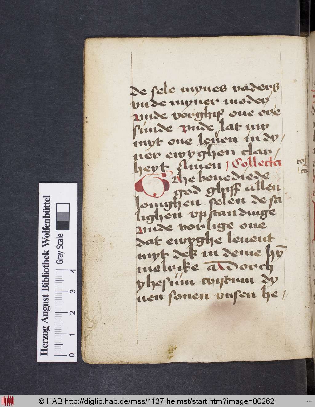 http://diglib.hab.de/mss/1137-helmst/00262.jpg