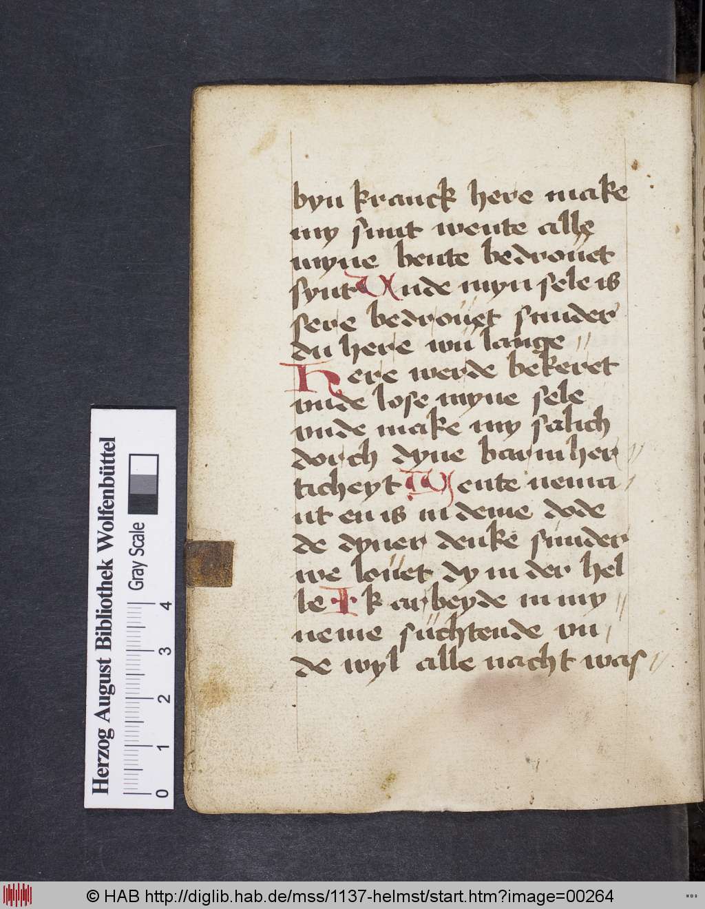 http://diglib.hab.de/mss/1137-helmst/00264.jpg