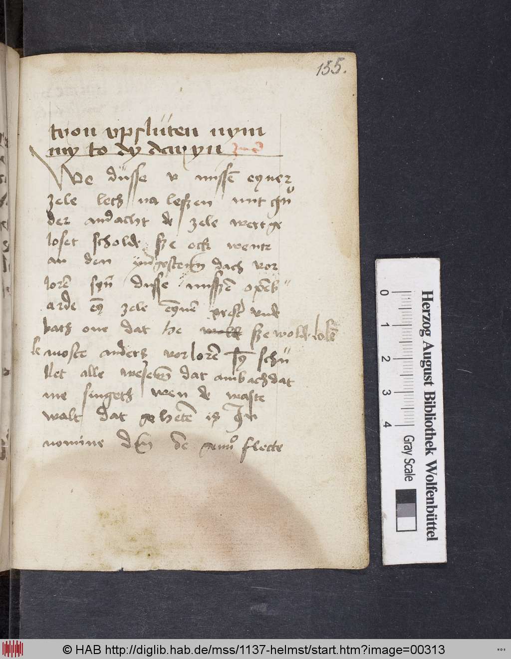 http://diglib.hab.de/mss/1137-helmst/00313.jpg