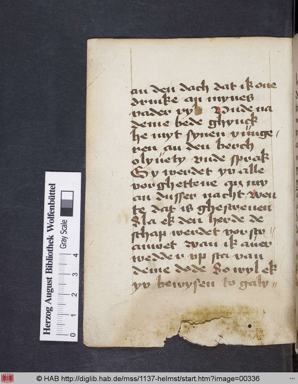 http://diglib.hab.de/mss/1137-helmst/00336.jpg