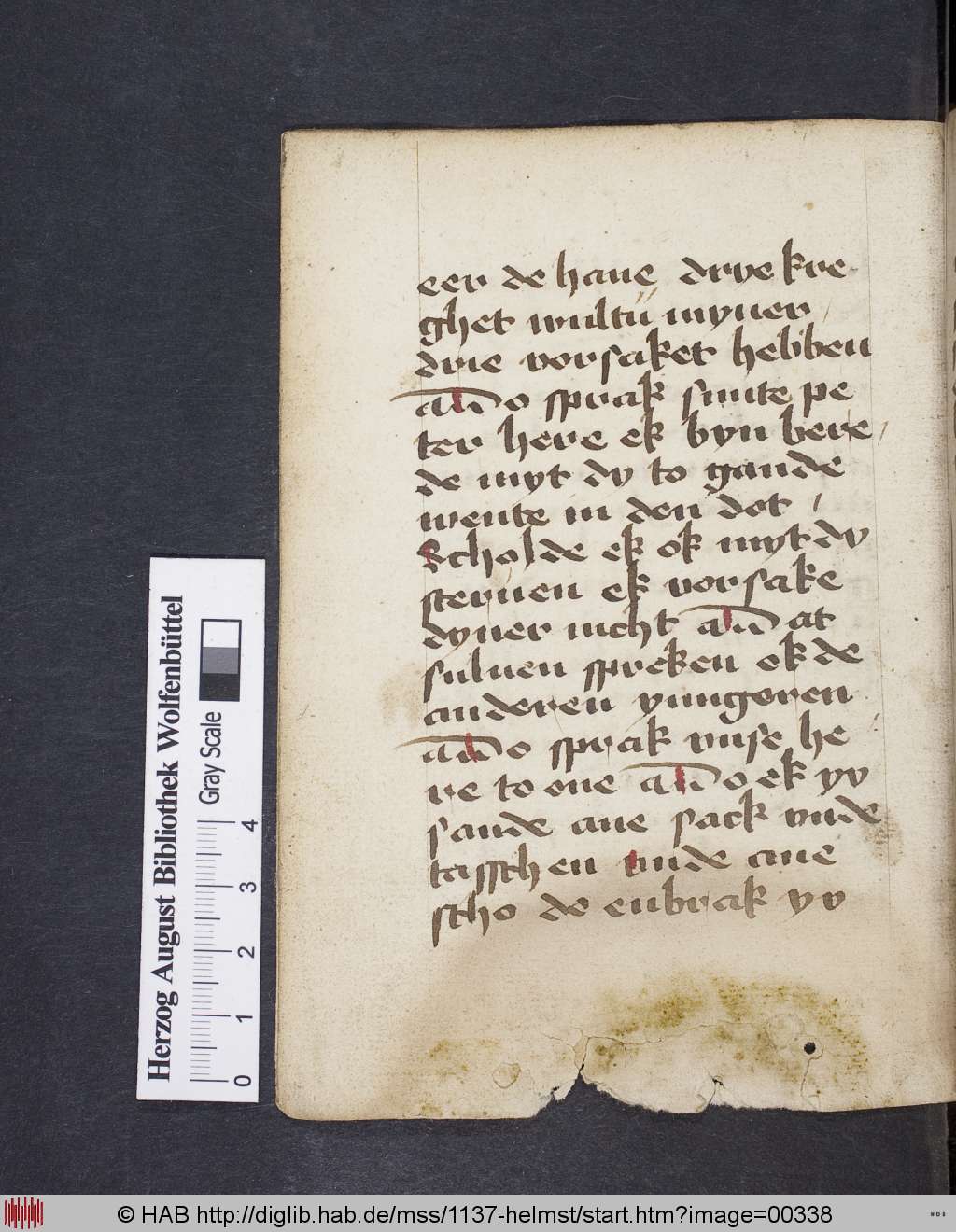 http://diglib.hab.de/mss/1137-helmst/00338.jpg