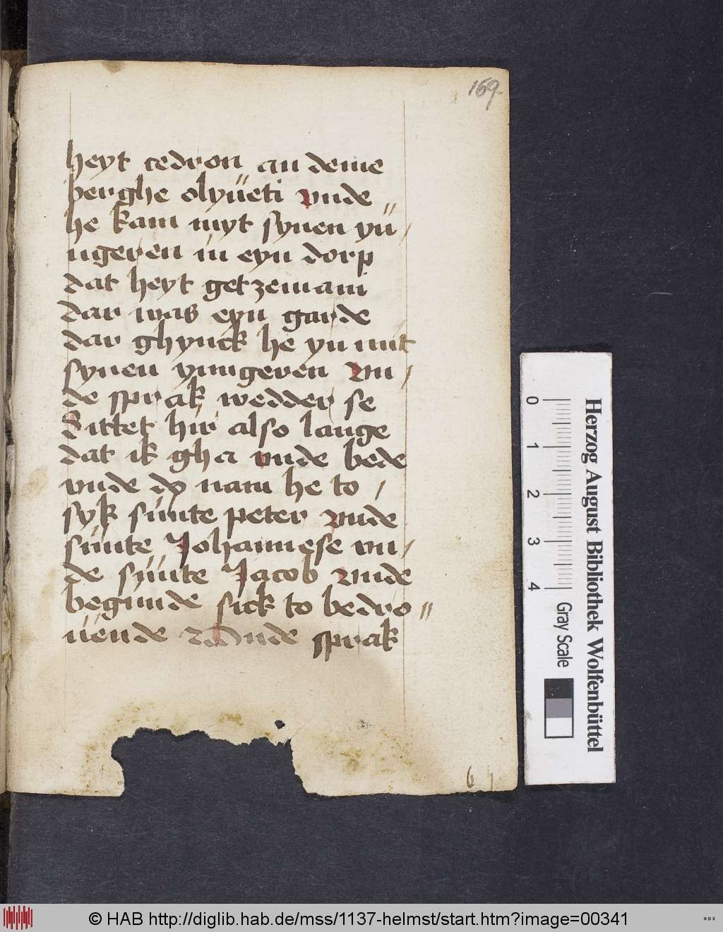 http://diglib.hab.de/mss/1137-helmst/00341.jpg