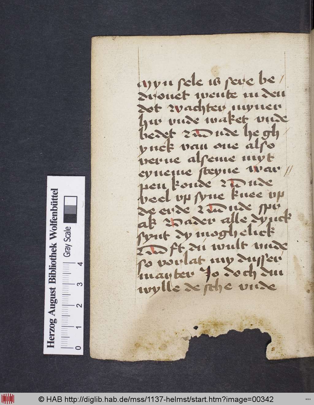 http://diglib.hab.de/mss/1137-helmst/00342.jpg