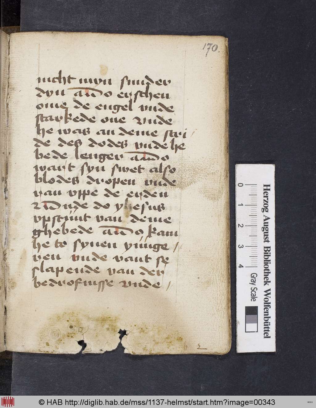http://diglib.hab.de/mss/1137-helmst/00343.jpg