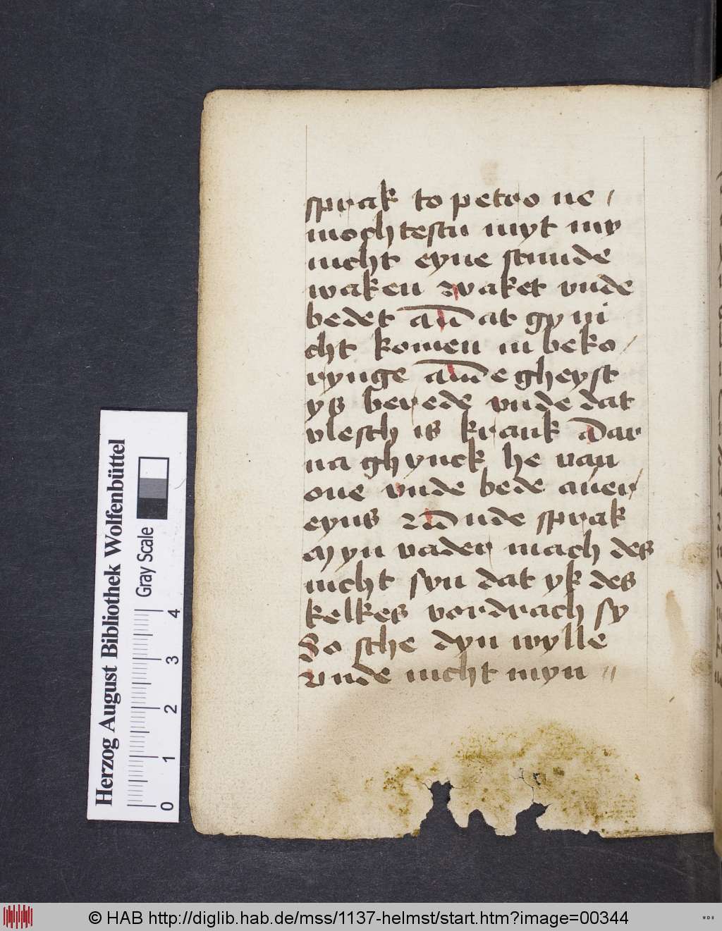 http://diglib.hab.de/mss/1137-helmst/00344.jpg