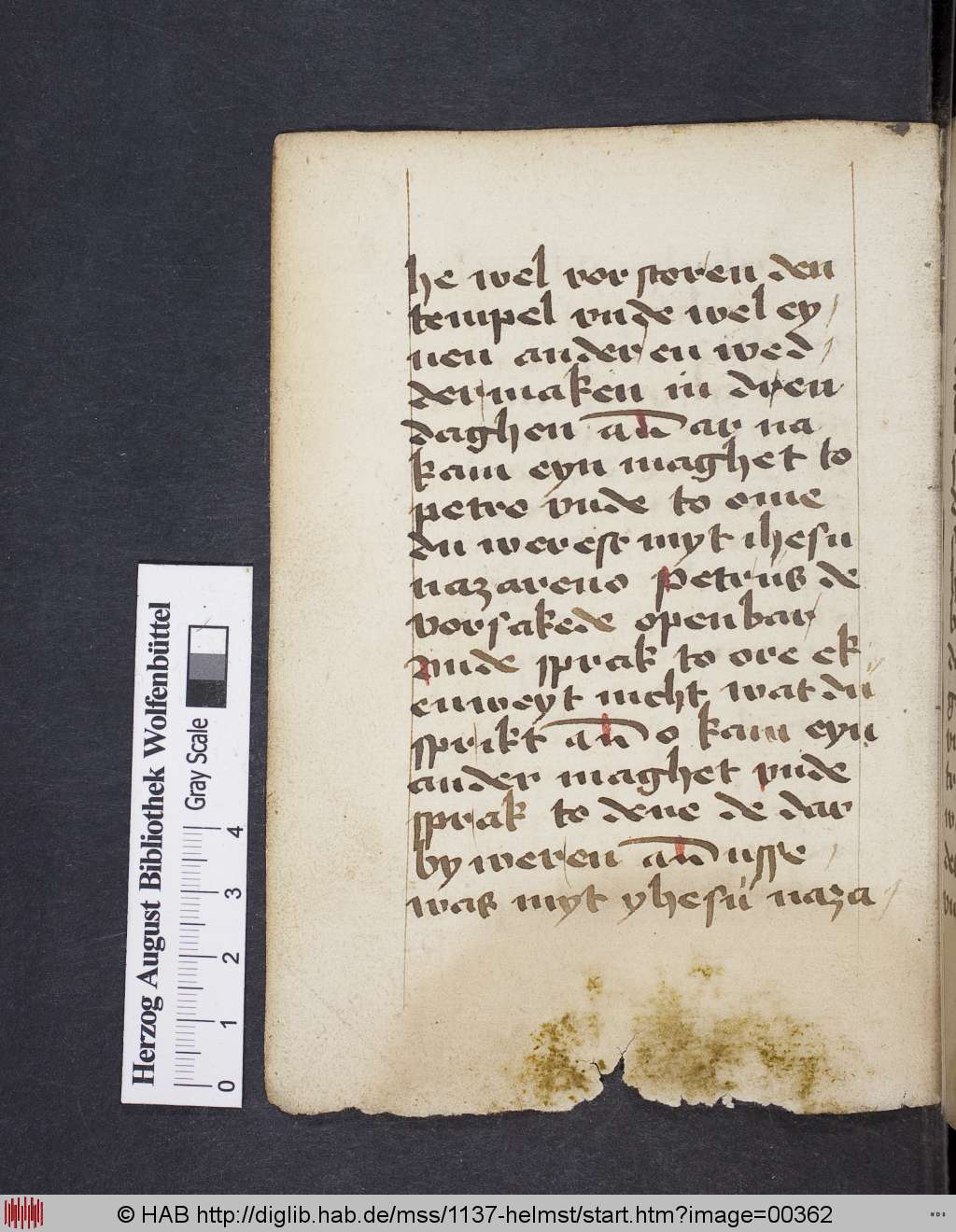 http://diglib.hab.de/mss/1137-helmst/00362.jpg