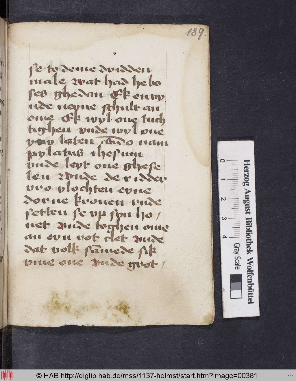 http://diglib.hab.de/mss/1137-helmst/00381.jpg