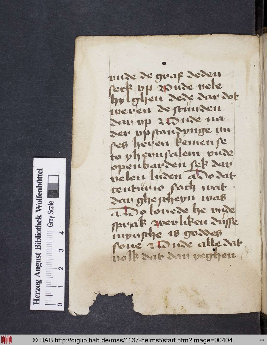 http://diglib.hab.de/mss/1137-helmst/00404.jpg