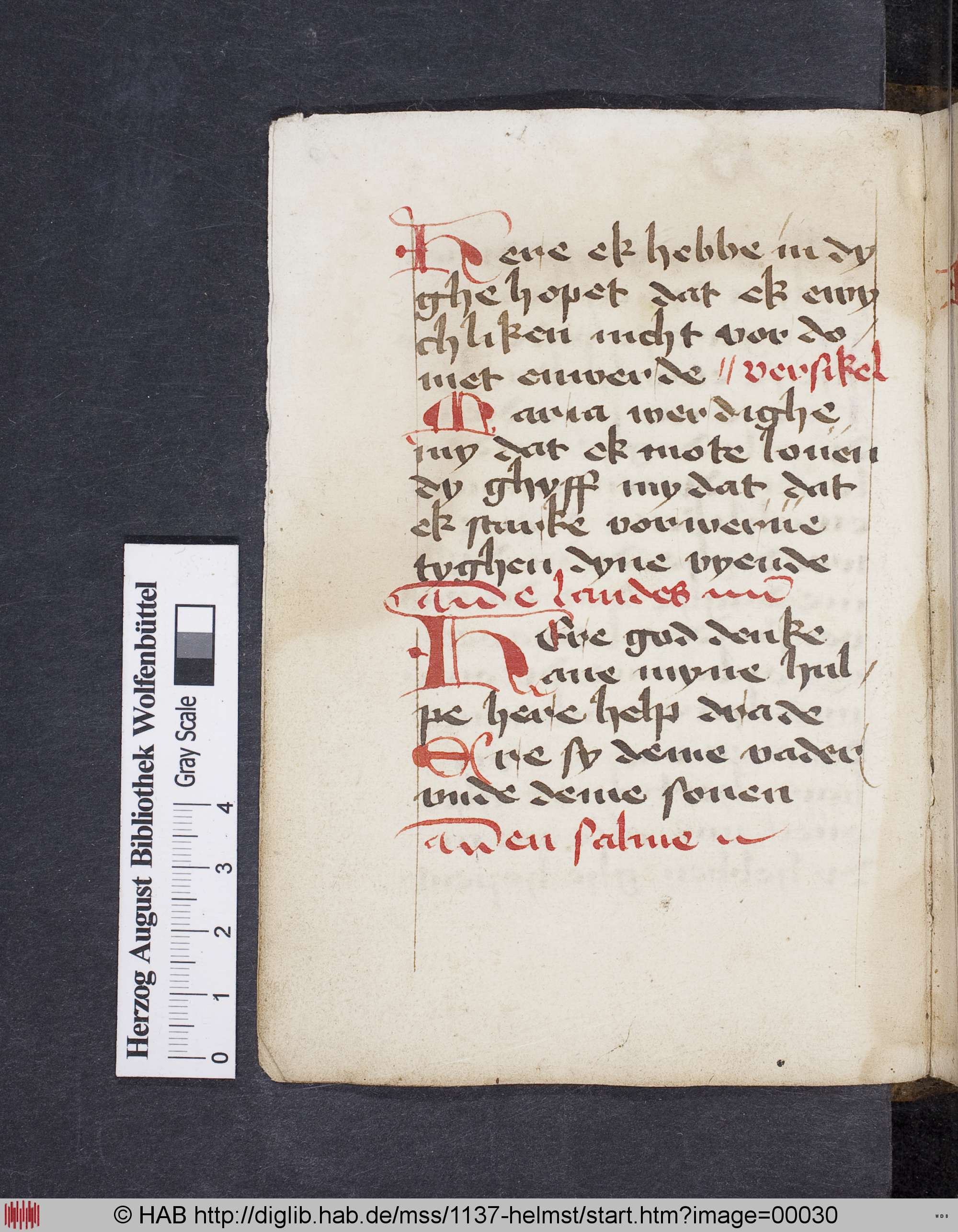 http://diglib.hab.de/mss/1137-helmst/max/00030.jpg
