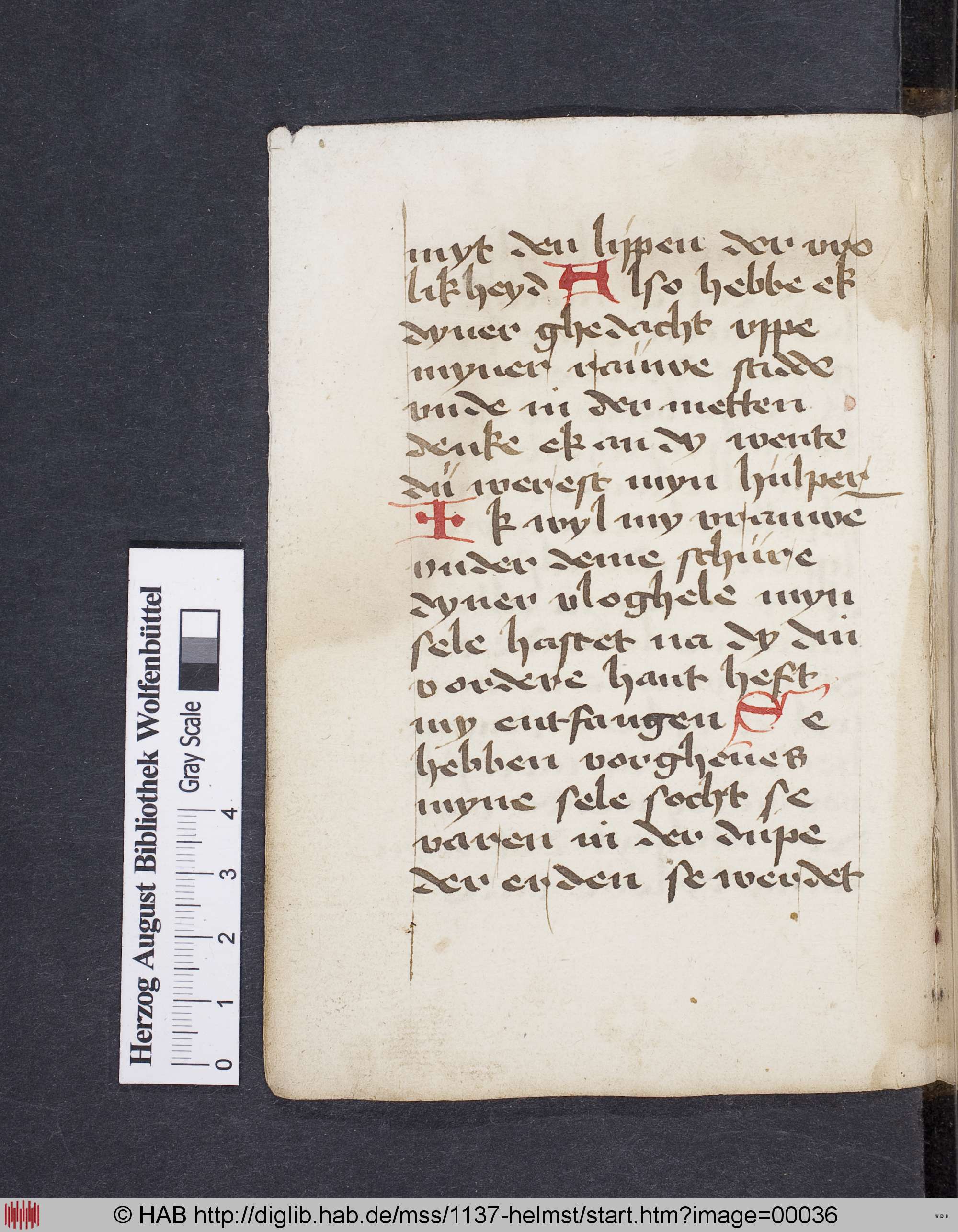 http://diglib.hab.de/mss/1137-helmst/max/00036.jpg
