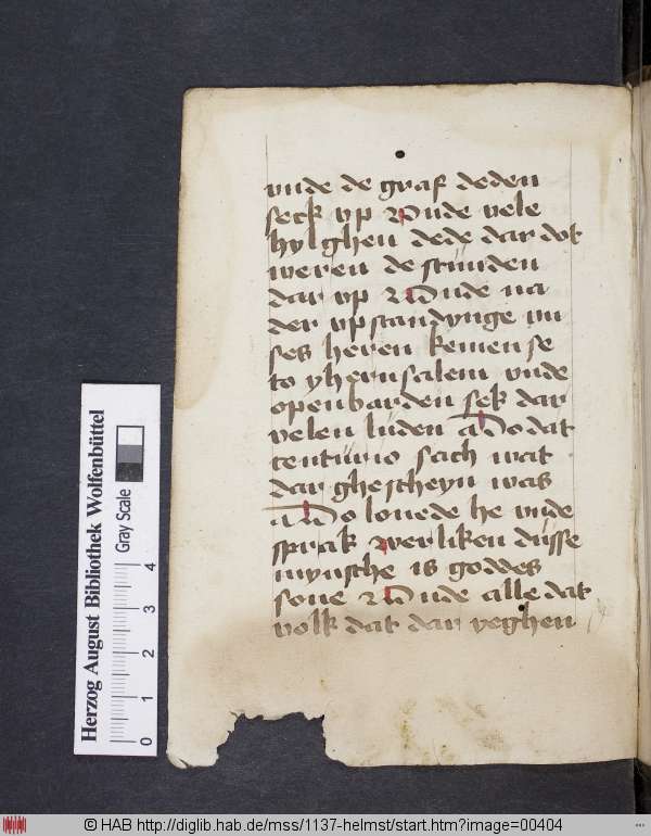 http://diglib.hab.de/mss/1137-helmst/min/00404.jpg