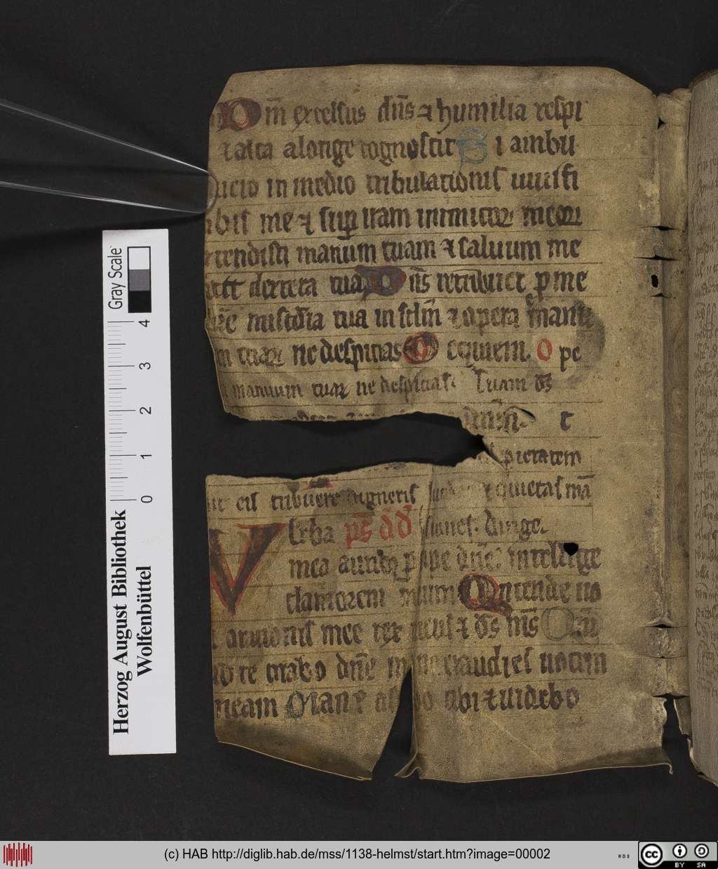 http://diglib.hab.de/mss/1138-helmst/00002.jpg
