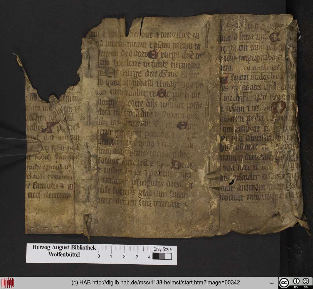 http://diglib.hab.de/mss/1138-helmst/00342.jpg