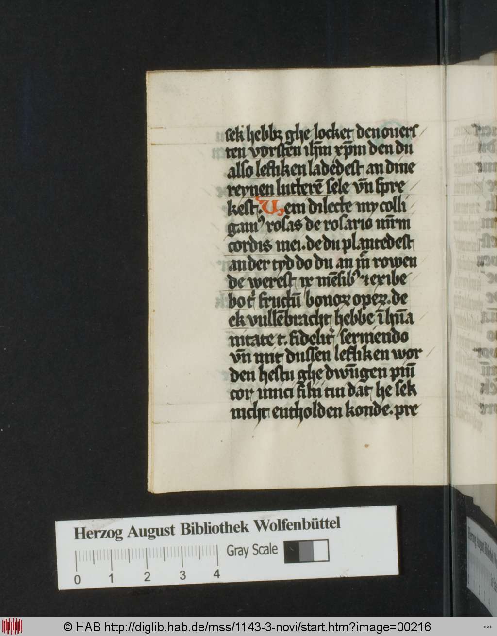 http://diglib.hab.de/mss/1143-3-novi/00216.jpg