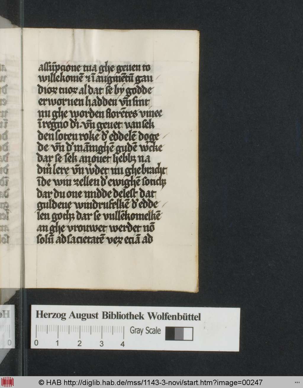 http://diglib.hab.de/mss/1143-3-novi/00247.jpg
