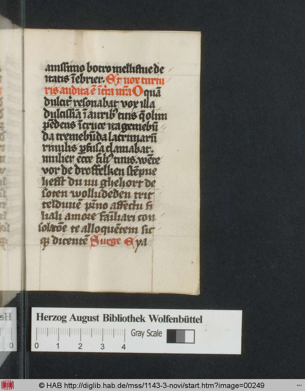 http://diglib.hab.de/mss/1143-3-novi/00249.jpg