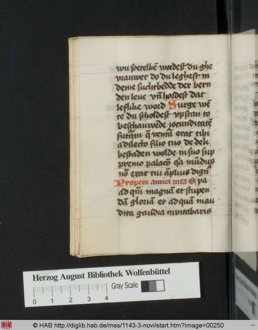 http://diglib.hab.de/mss/1143-3-novi/00250.jpg