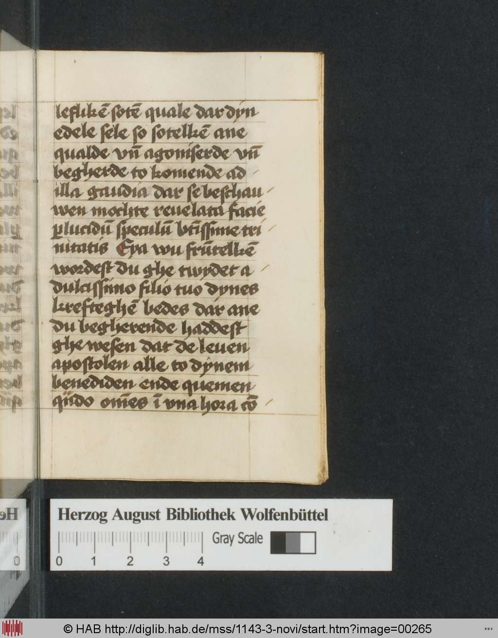 http://diglib.hab.de/mss/1143-3-novi/00265.jpg