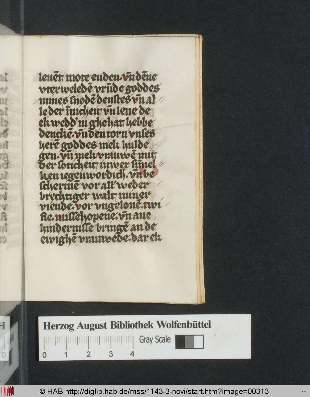 http://diglib.hab.de/mss/1143-3-novi/00313.jpg