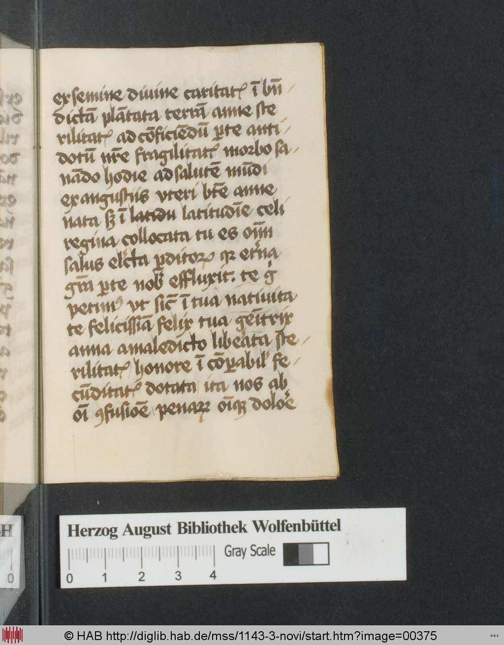 http://diglib.hab.de/mss/1143-3-novi/00375.jpg