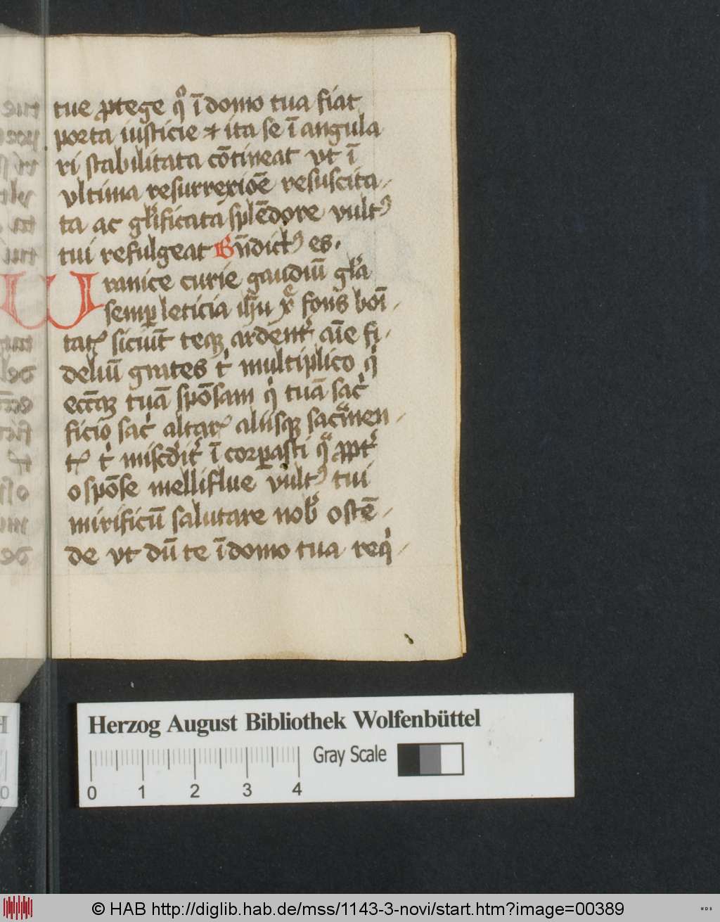 http://diglib.hab.de/mss/1143-3-novi/00389.jpg