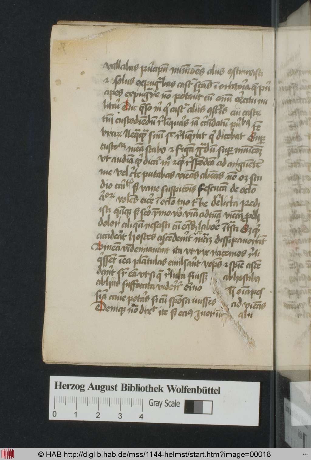 http://diglib.hab.de/mss/1144-helmst/00018.jpg