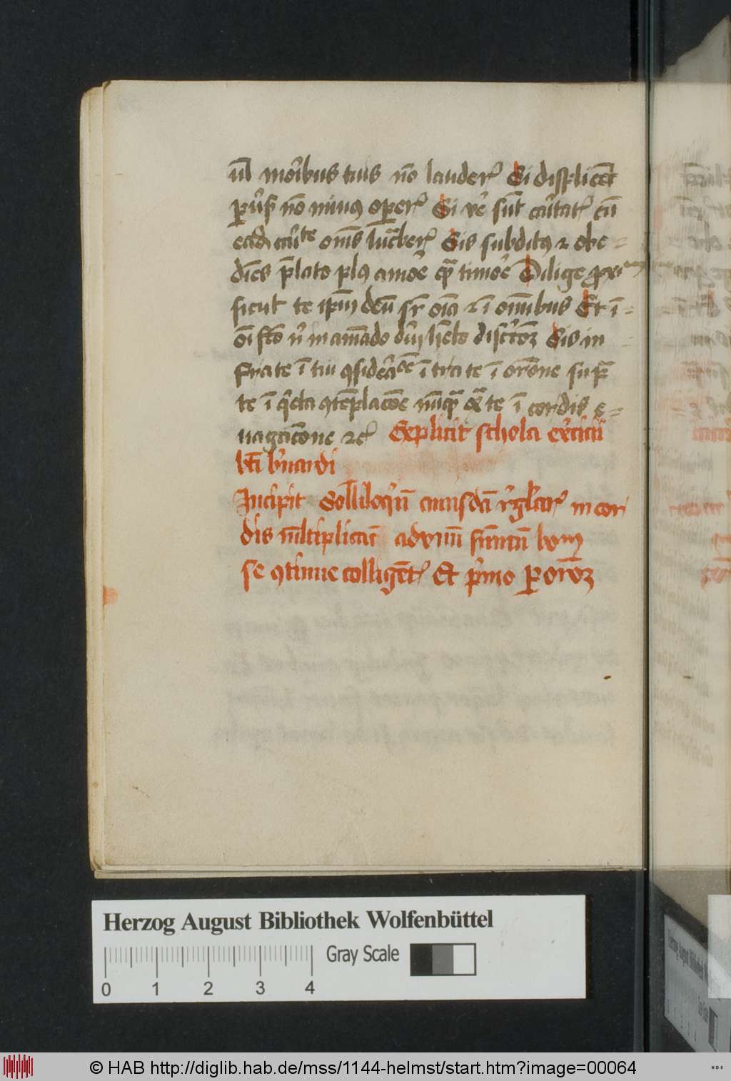 http://diglib.hab.de/mss/1144-helmst/00064.jpg