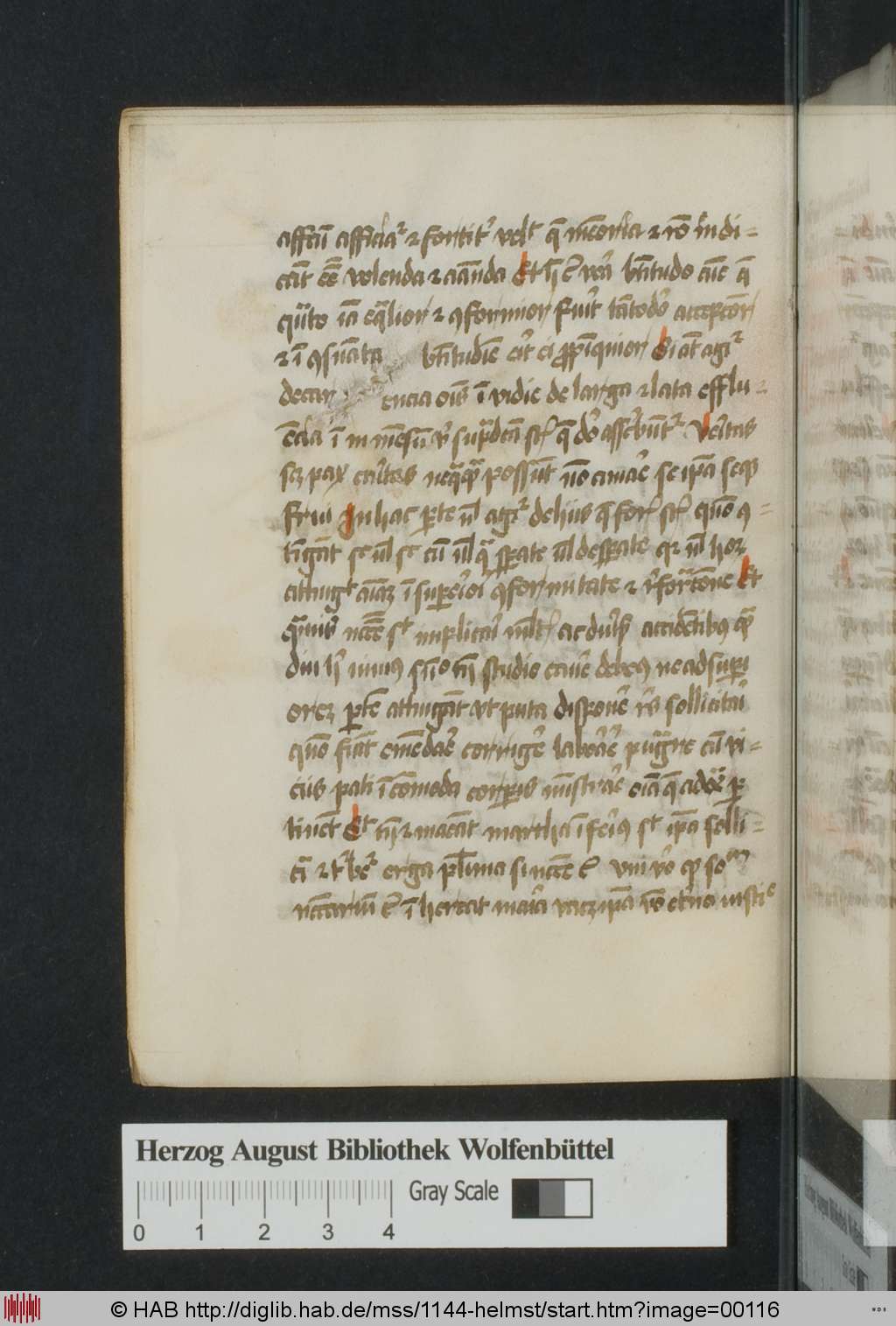 http://diglib.hab.de/mss/1144-helmst/00116.jpg