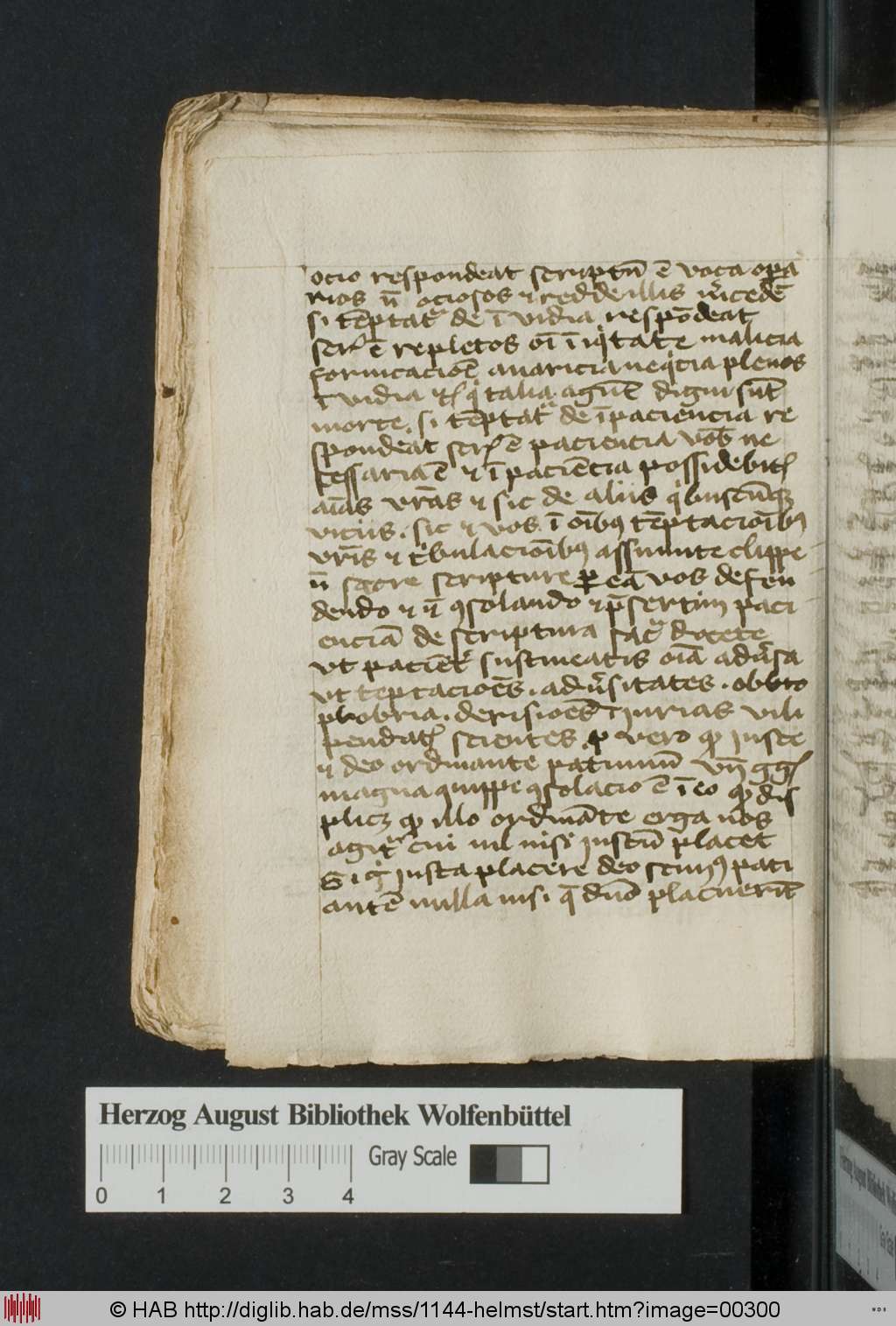 http://diglib.hab.de/mss/1144-helmst/00300.jpg