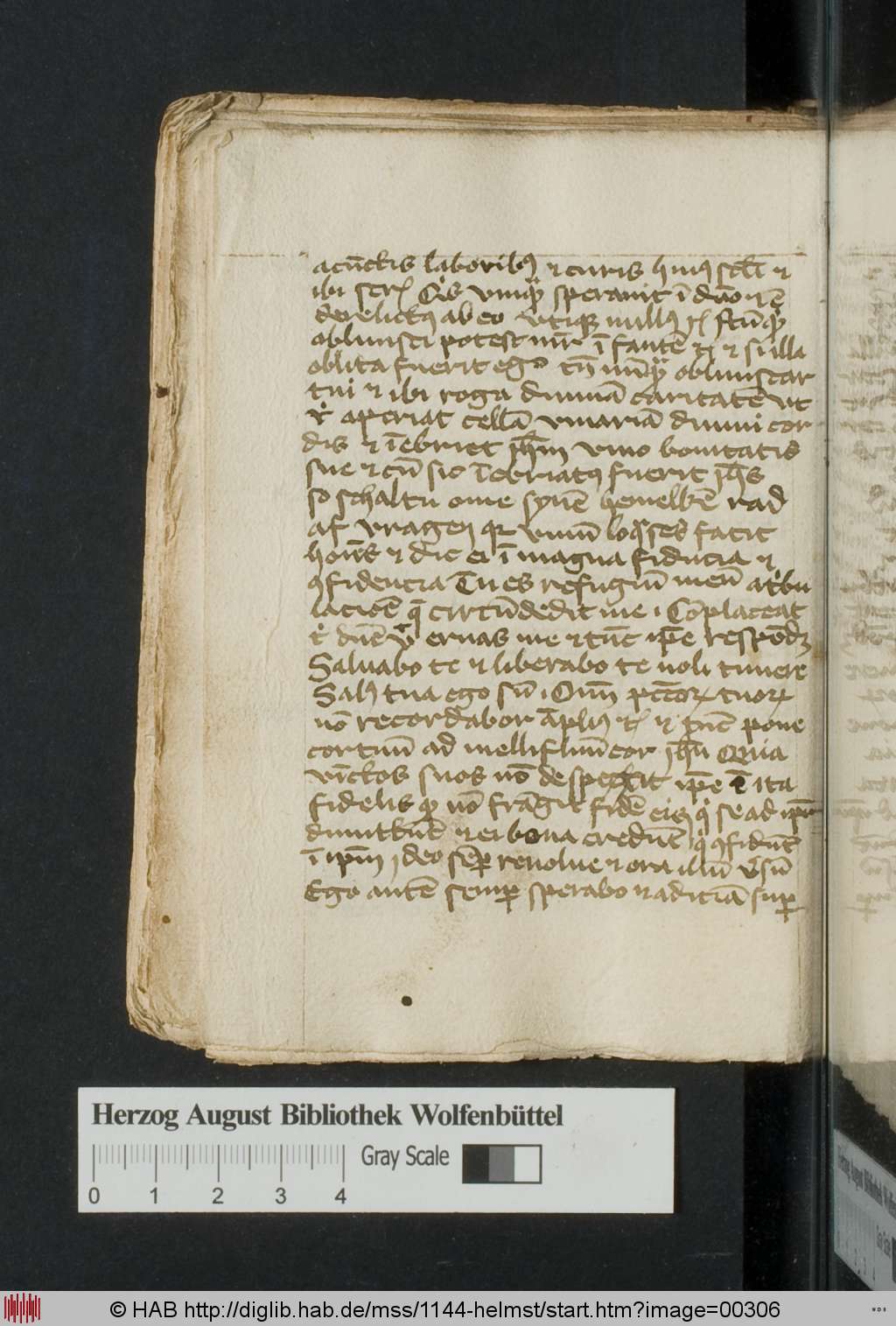 http://diglib.hab.de/mss/1144-helmst/00306.jpg