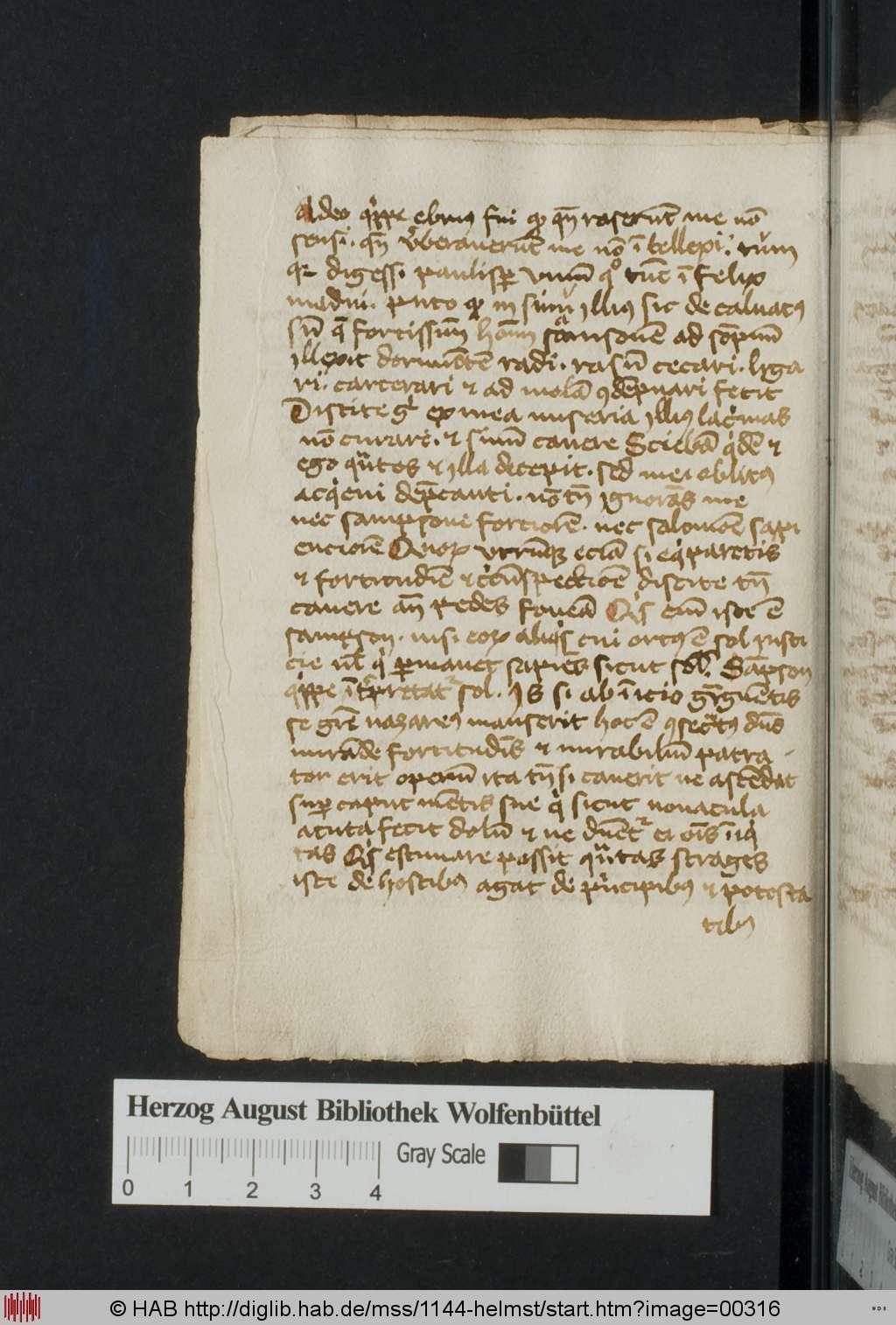http://diglib.hab.de/mss/1144-helmst/00316.jpg