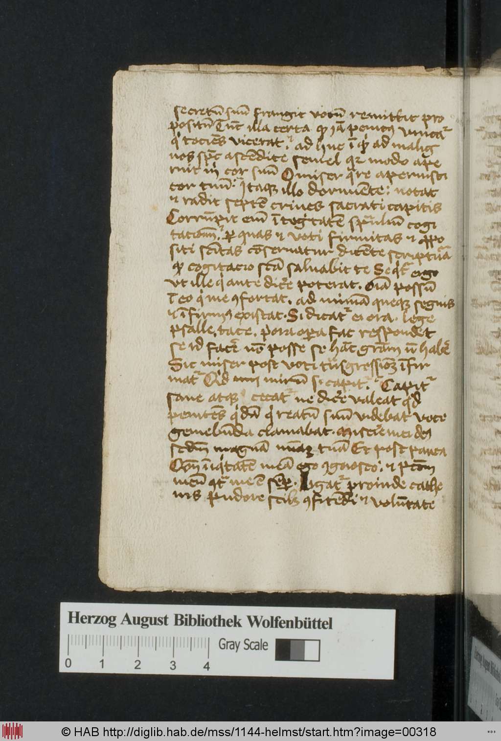 http://diglib.hab.de/mss/1144-helmst/00318.jpg