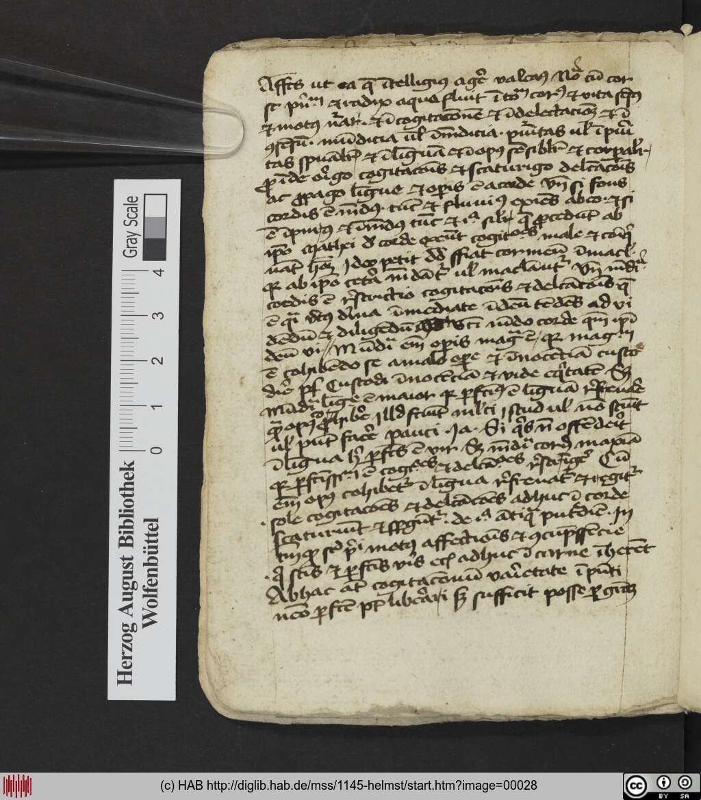 http://diglib.hab.de/mss/1145-helmst/00028.jpg