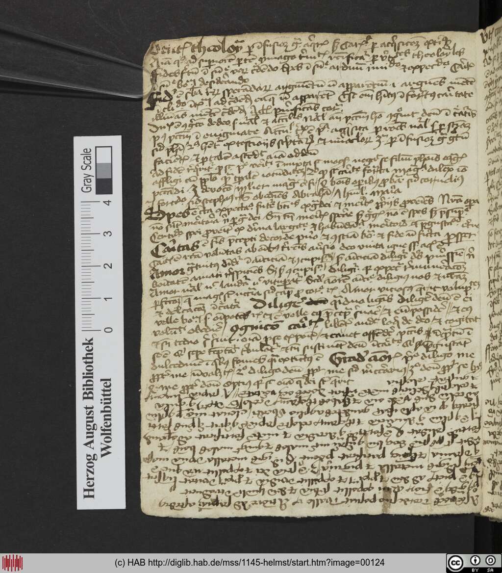 http://diglib.hab.de/mss/1145-helmst/00124.jpg