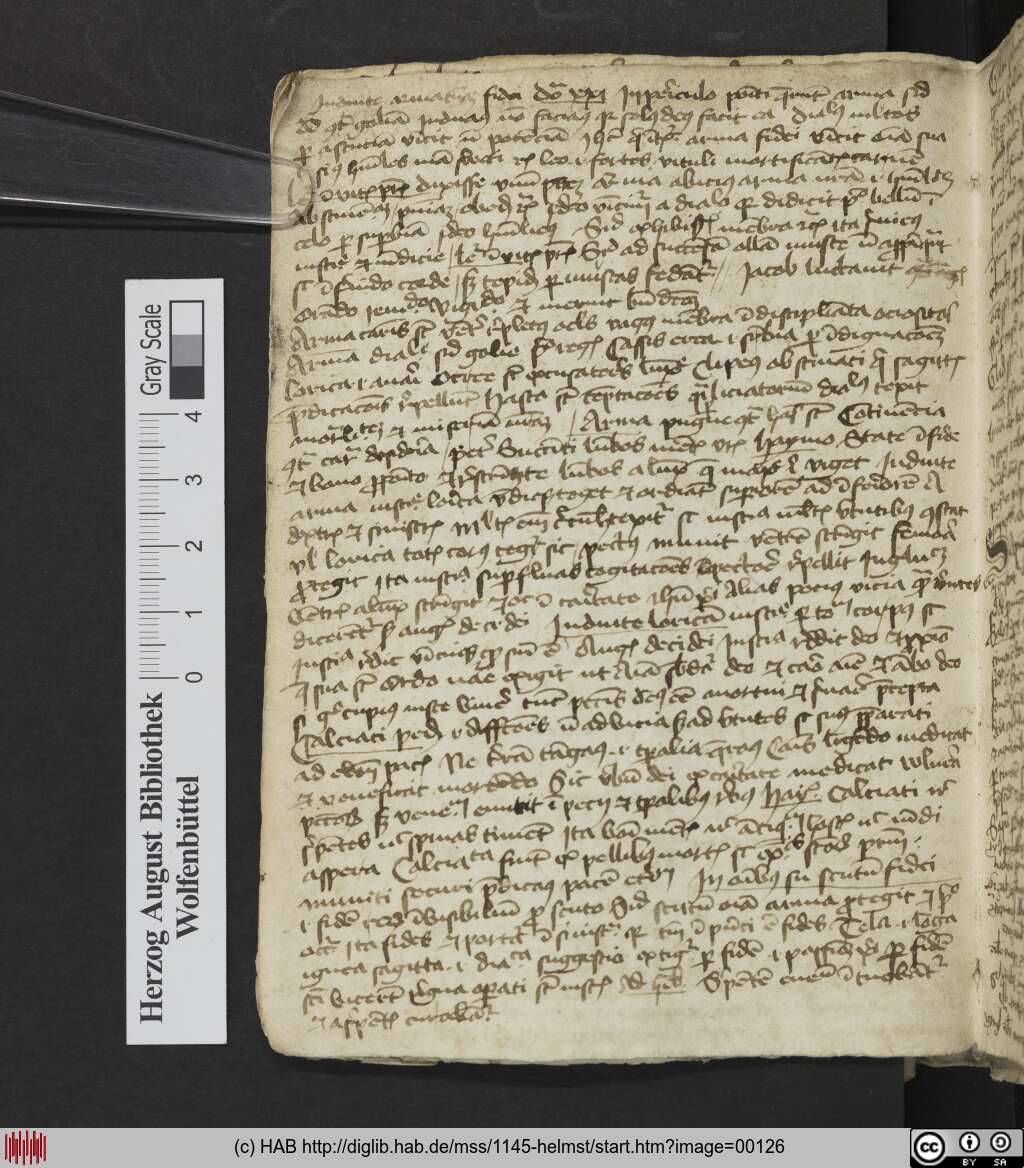 http://diglib.hab.de/mss/1145-helmst/00126.jpg