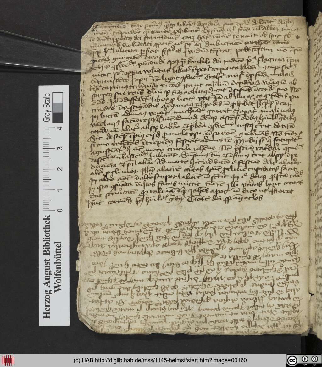 http://diglib.hab.de/mss/1145-helmst/00160.jpg