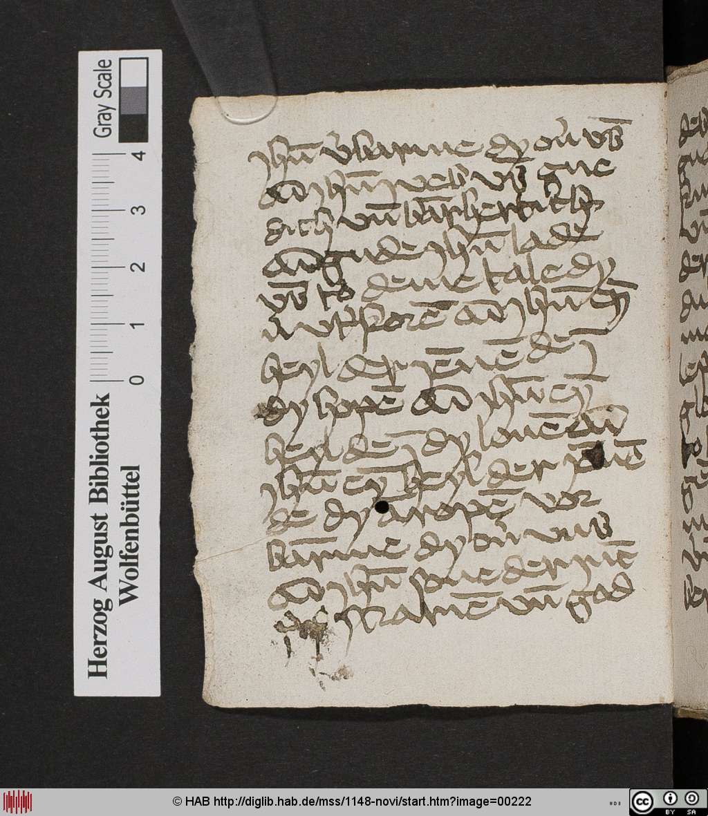 http://diglib.hab.de/mss/1148-novi/00222.jpg