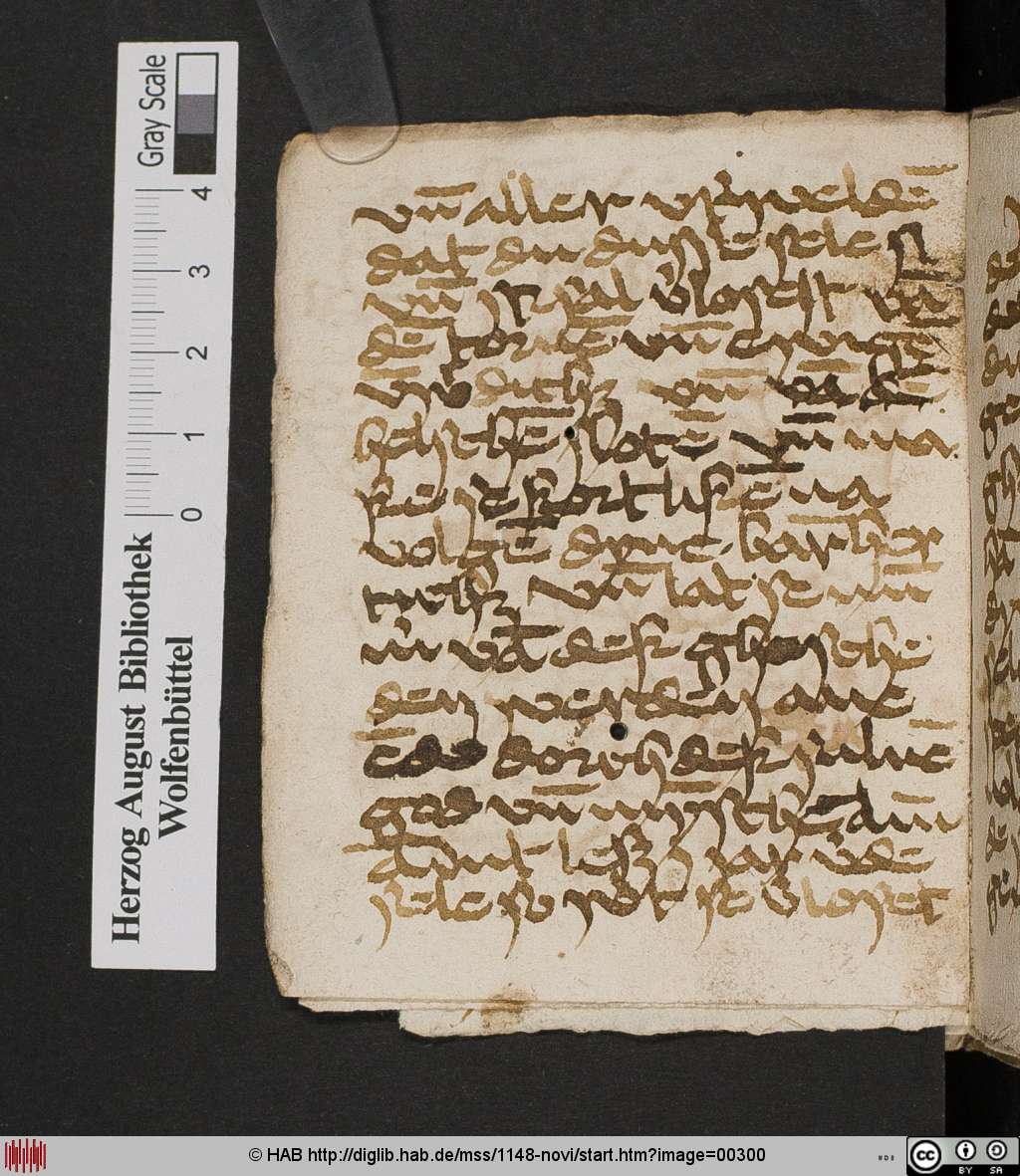 http://diglib.hab.de/mss/1148-novi/00300.jpg