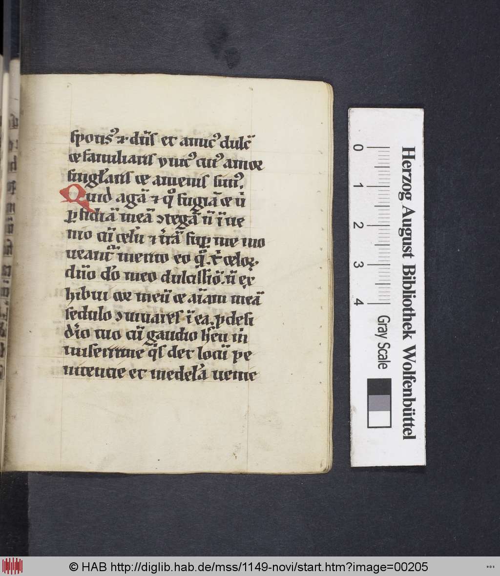 http://diglib.hab.de/mss/1149-novi/00205.jpg