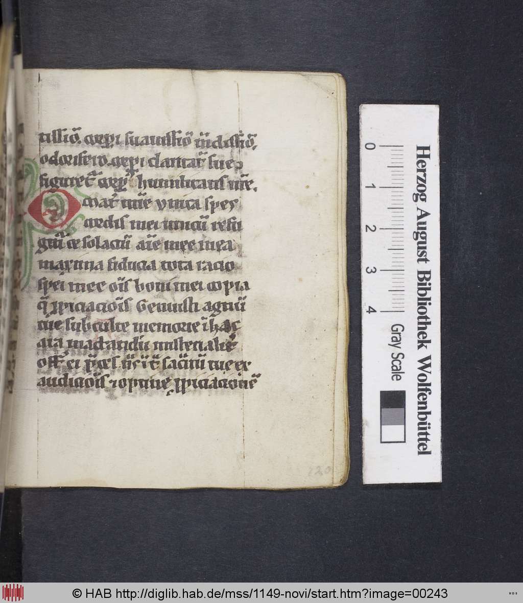 http://diglib.hab.de/mss/1149-novi/00243.jpg