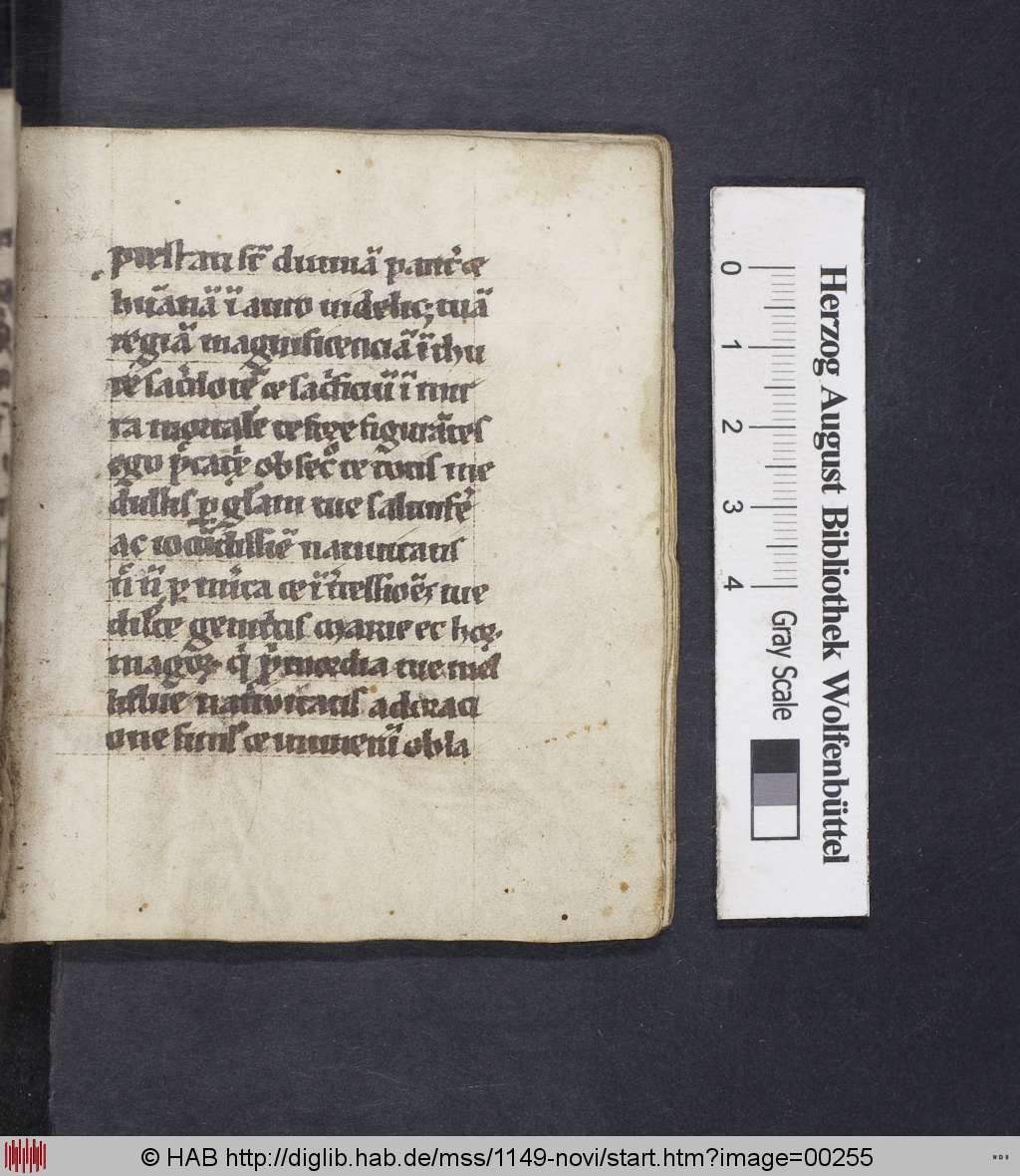 http://diglib.hab.de/mss/1149-novi/00255.jpg