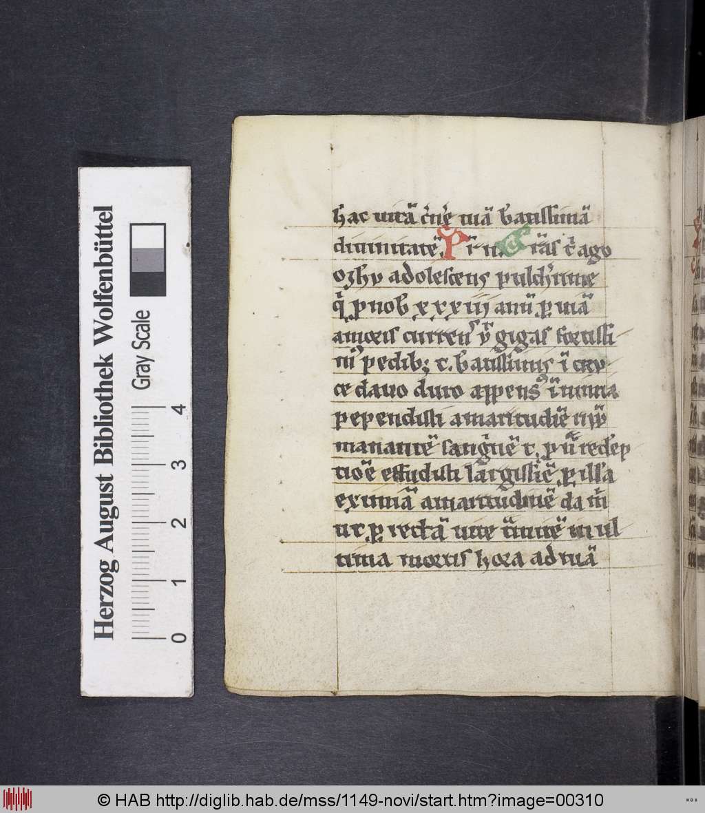 http://diglib.hab.de/mss/1149-novi/00310.jpg