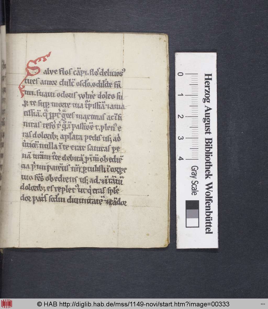 http://diglib.hab.de/mss/1149-novi/00333.jpg