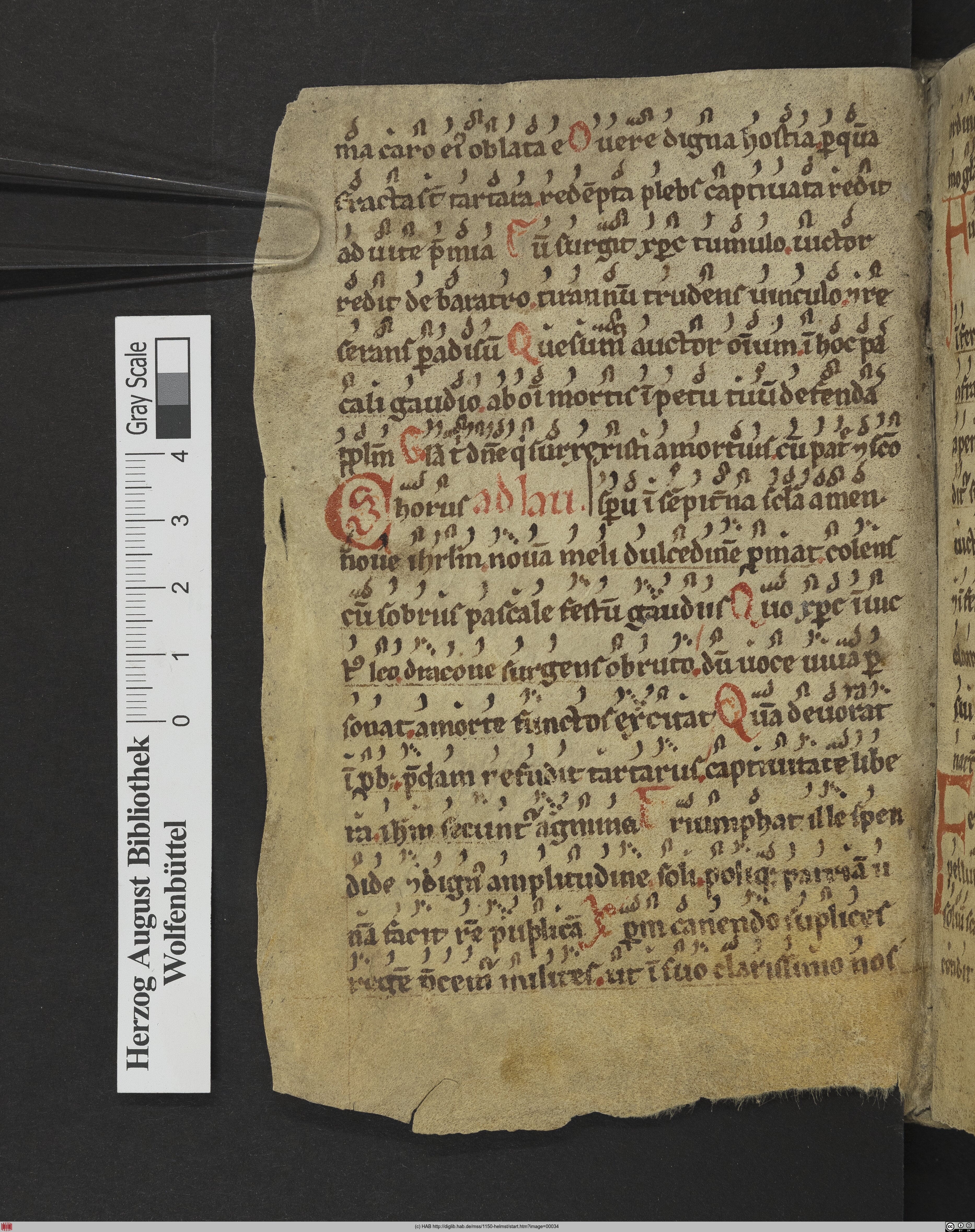 http://diglib.hab.de/mss/1150-helmst/max/00034.jpg