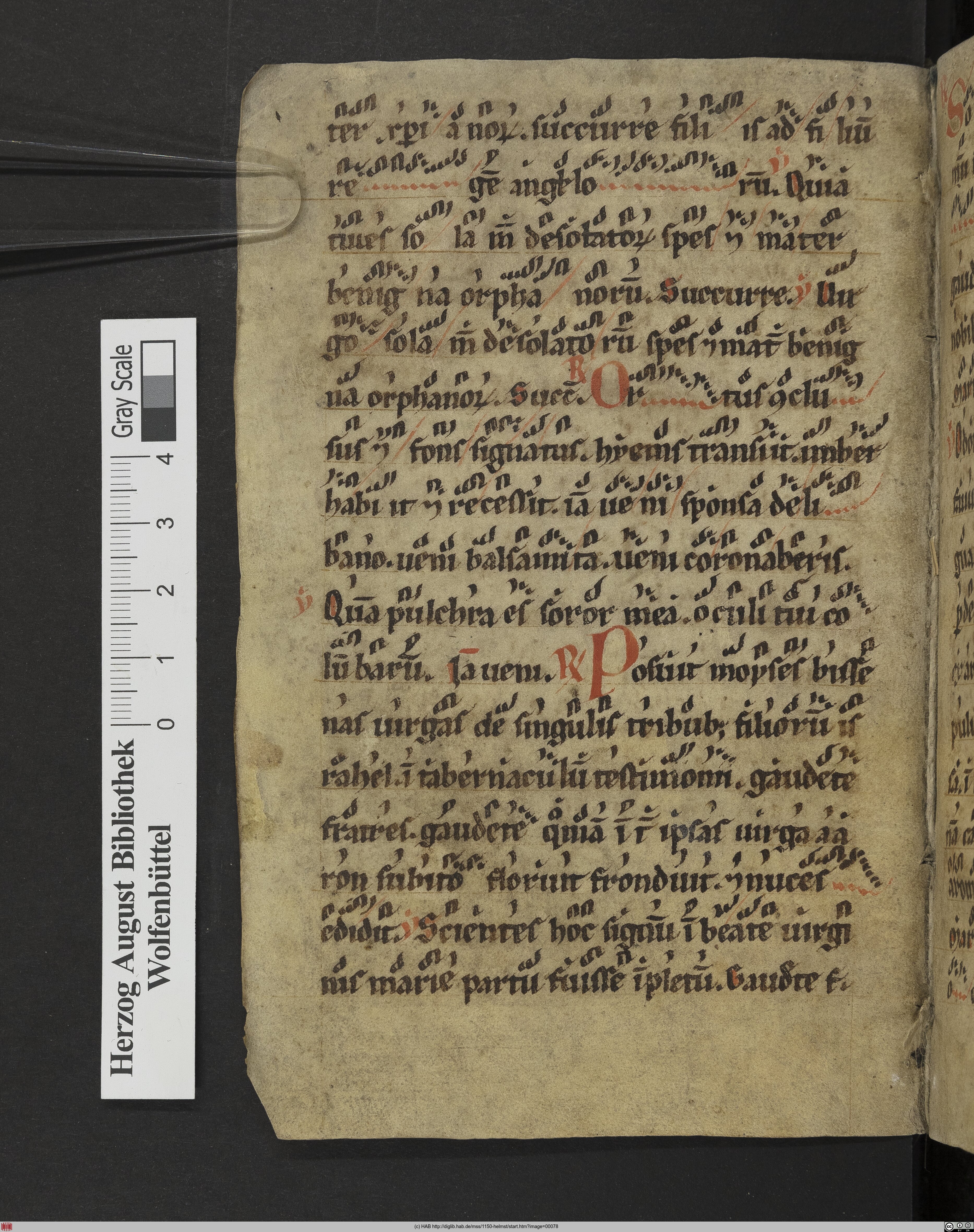 http://diglib.hab.de/mss/1150-helmst/max/00078.jpg